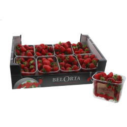 FRAISE PETITE NUE 8X500G